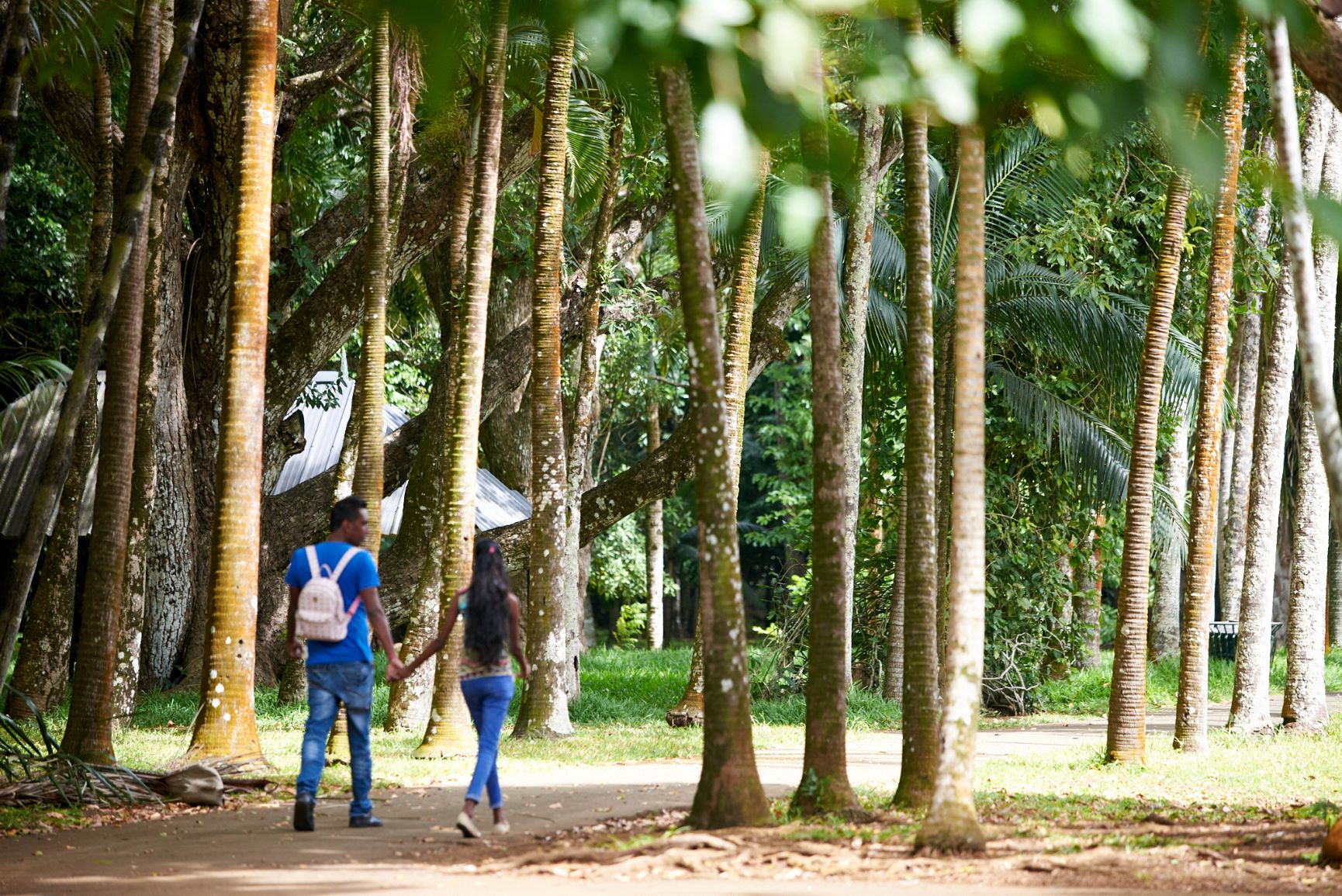 Jardin de Pamplemousses