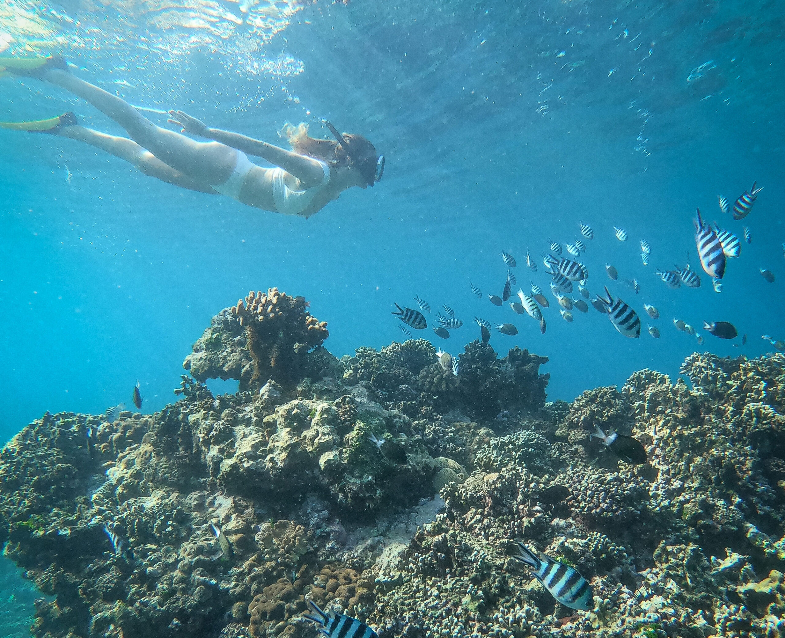 snorkeling