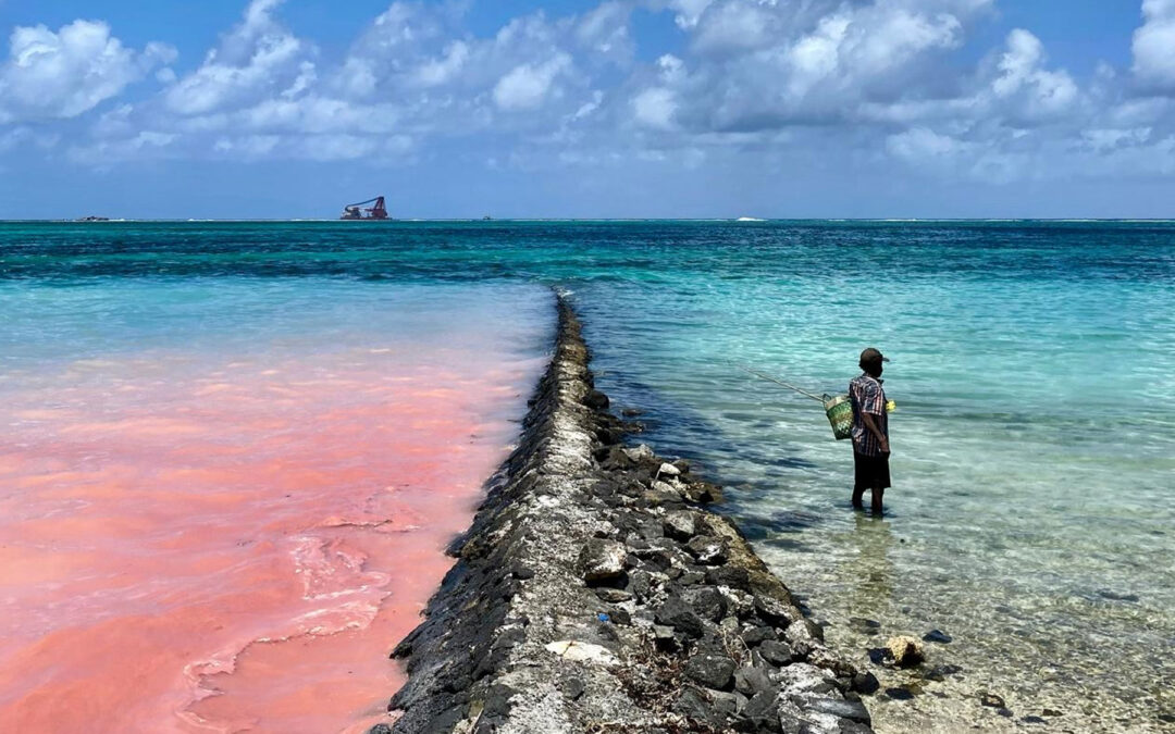 Coral Spawning: The Lagoon’s Best-Kept Secret